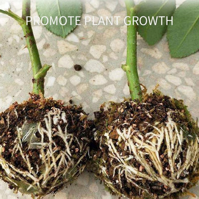Plant Rooting Device High Pressure Propagation Ball,Plant Propagation Air-Layering Pod.